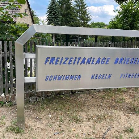 Appartamento Unter Den Linden Halbe Esterno foto