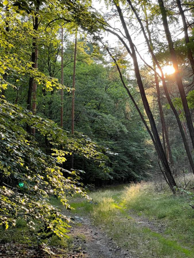 Appartamento Unter Den Linden Halbe Esterno foto